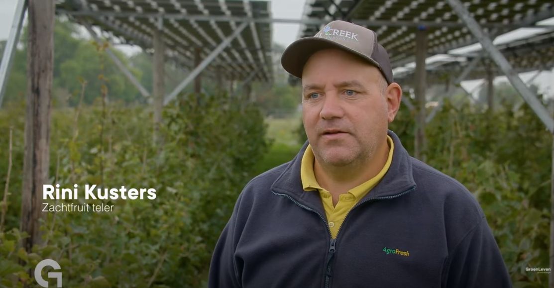 Bessenteler Rini Kusters combineert teelt met zonnepanelen